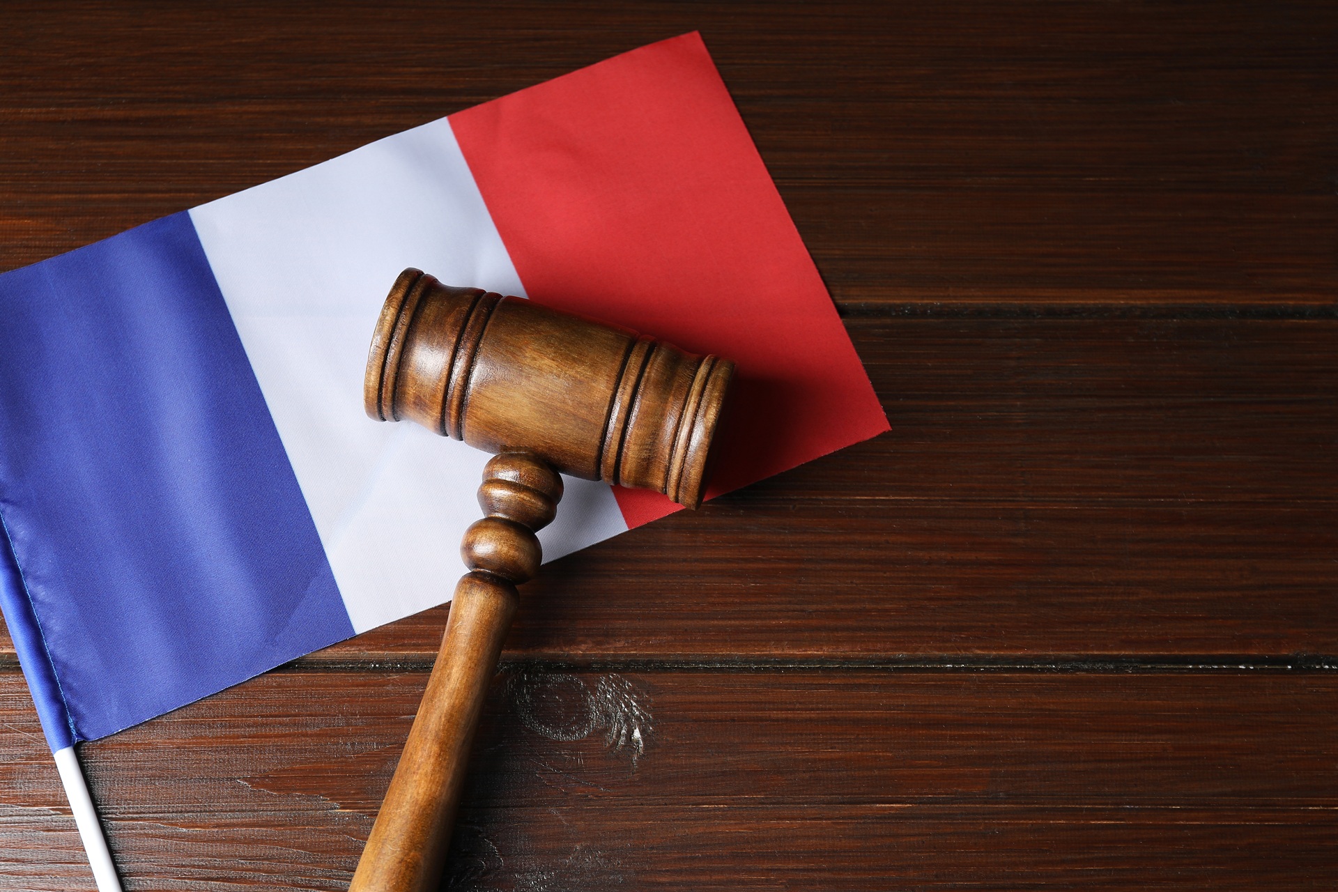 A wooden gavel rests on a French flag.